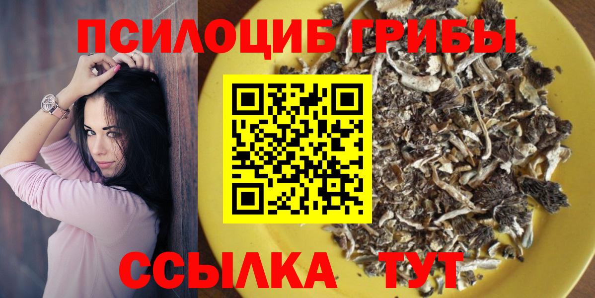 Елизово  Псилоцибиновые грибы GOLDEN TEACHER  купить закладку  Вход с VPN 